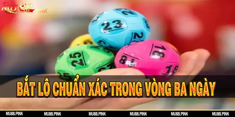 Bắt lô chuẩn xác trong vòng 3 ngày