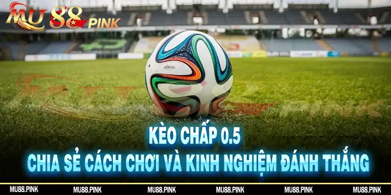 Kèo chấp 0.5 - Chia sẻ cách chơi và kinh nghiệm đánh thắng